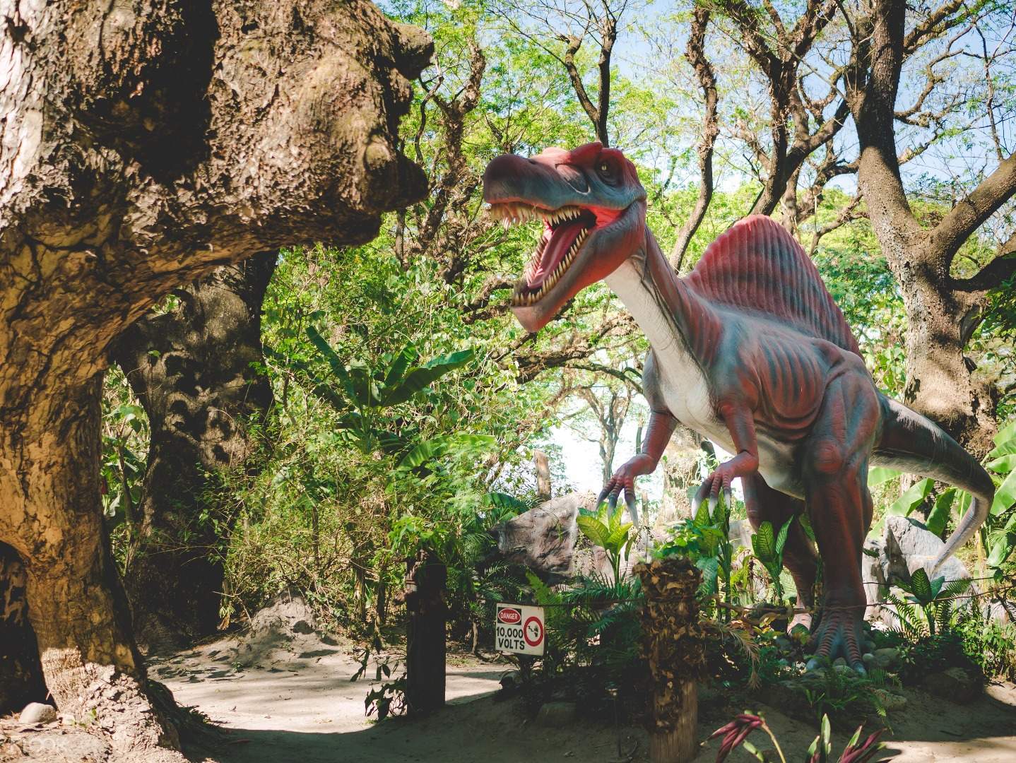Остров динозавров. Dinocephalosaurus orientalis. Экзотические динозавры. Парк динозавров на острове.